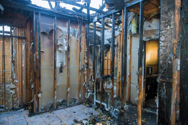 Professional Odor Removal technician working in Burnet, TX